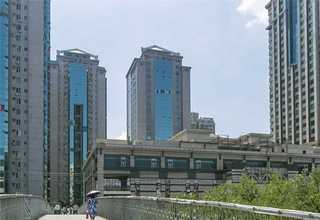 安徽无添加宠物零食承诺守信
